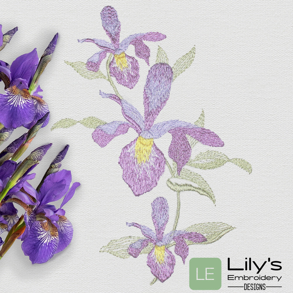 Iris Bouquet Machine Embroidery Design 3 Sizes