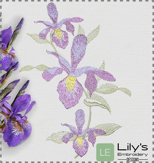 Iris Bouquet Machine Embroidery Design 3 Sizes